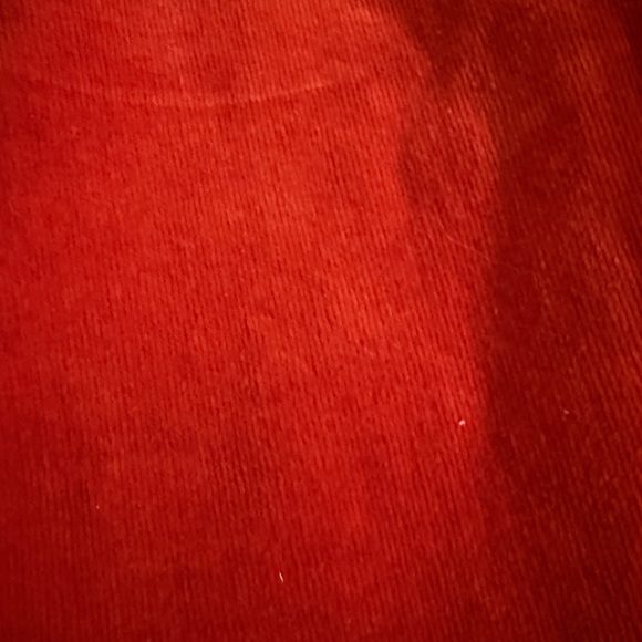 Cello Rust Corduroy Flare Pants - Picture 10 of 11